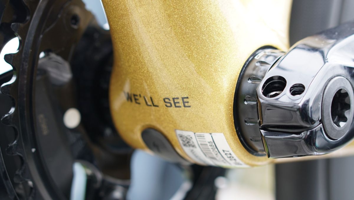 Another quote from Sagan sits on the bottom bracket shell