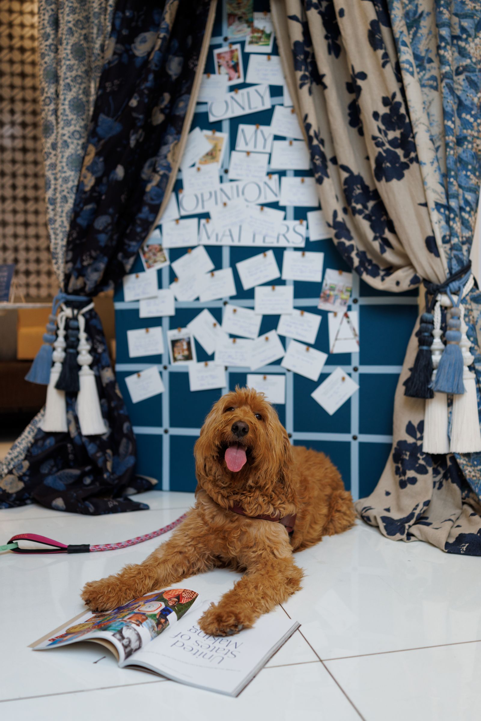 Dog in front of the Anthology stand at WNWN
