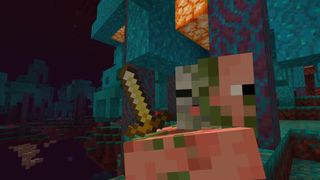 Minecraft Netherwart Forest