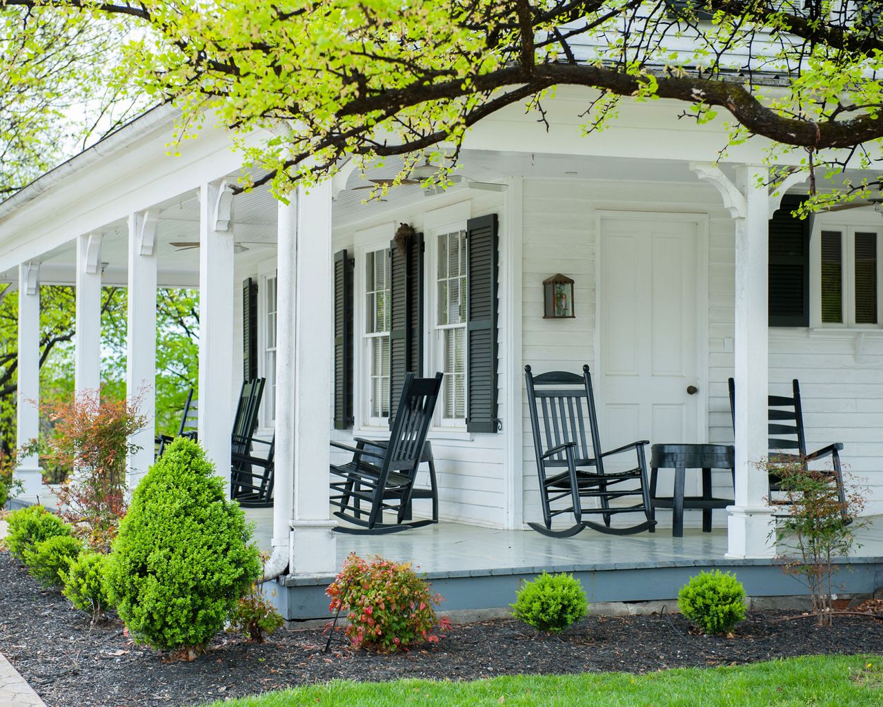 Experts share how to stop woodpeckers from pecking your house | Homes