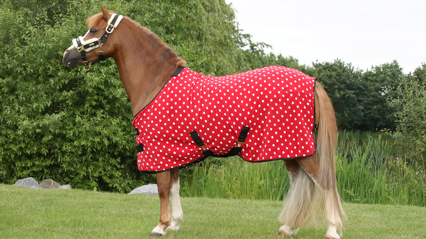 Supreme Products Dotty fleece travel rug for horses