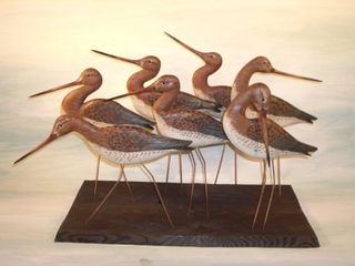 Prayer of Godwits by Judith Nicholl