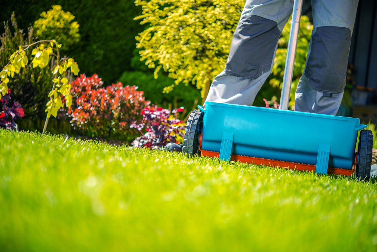 Fertilizing a lawn