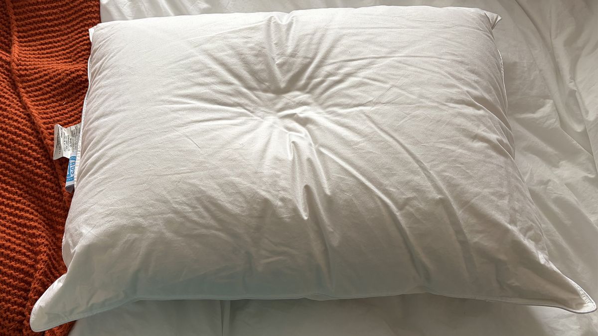 A Downright Mackenza WD Pillow with a slight indentation in the surface