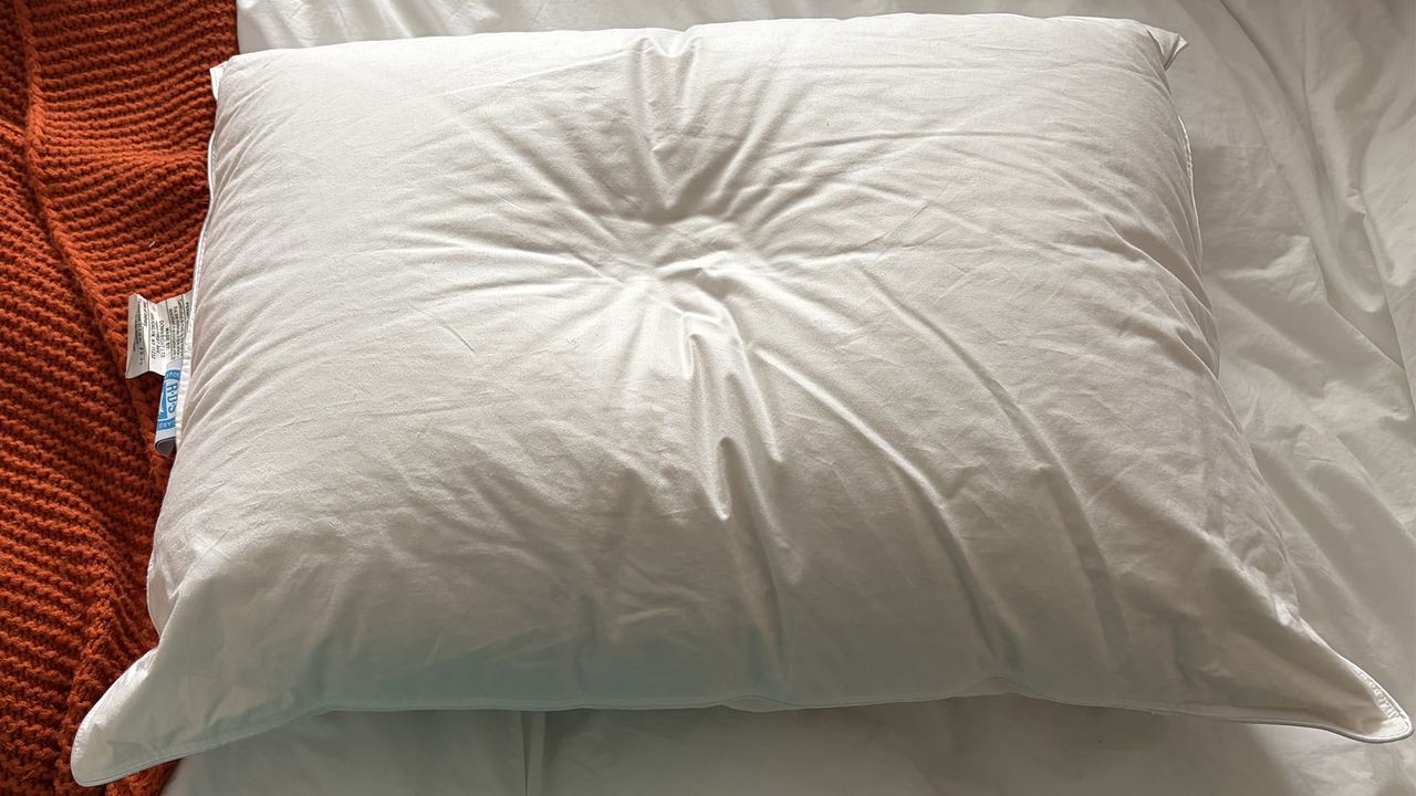 A Downright Mackenza WD Pillow with a slight indentation in the surface