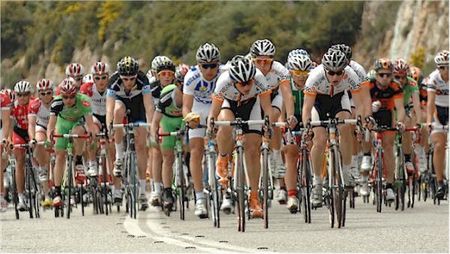 The peloton early in the race.