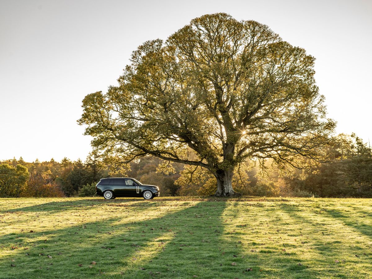 Why you’ll feel like a hotshot in Holland & Holland's Range Rover