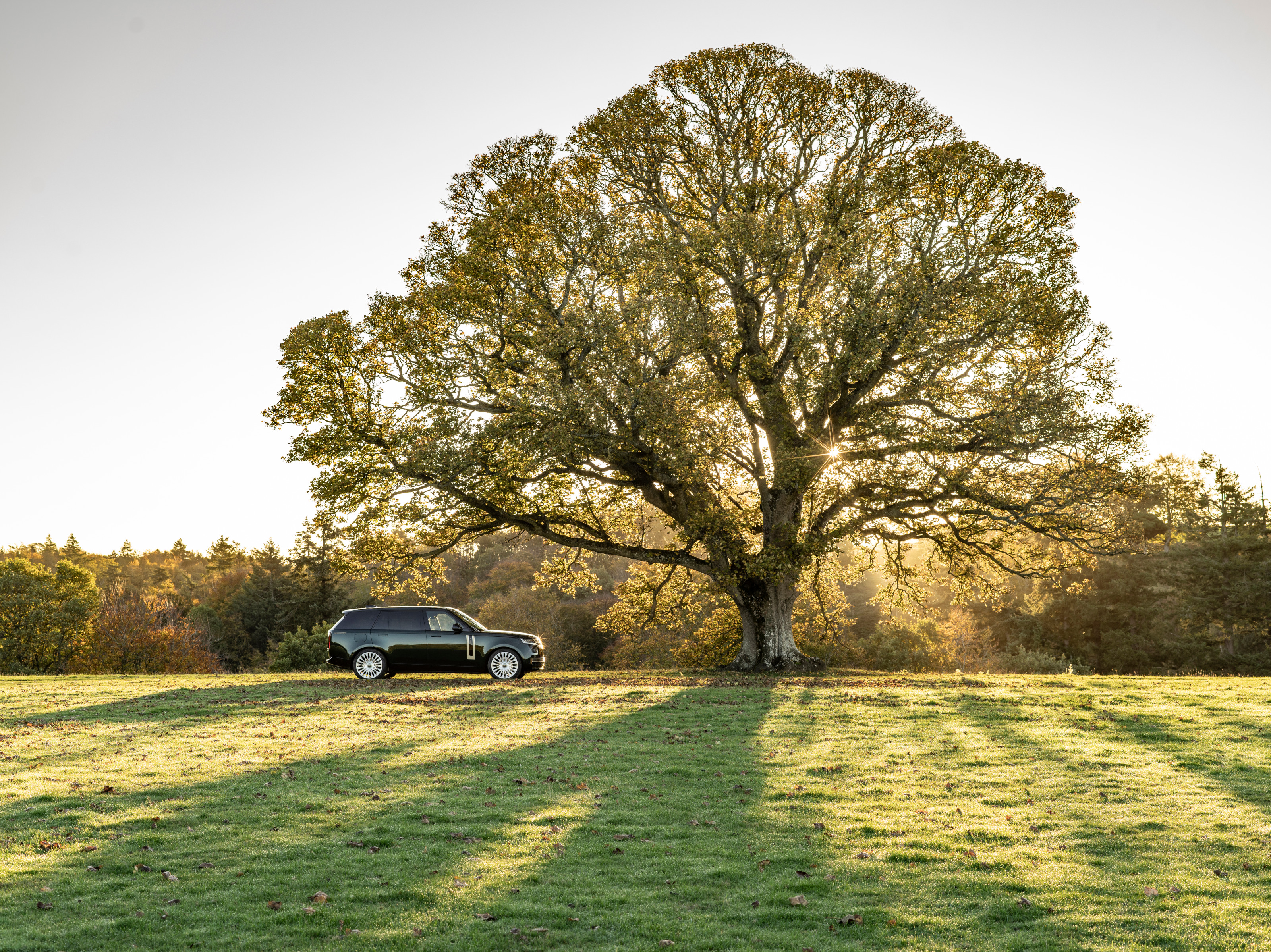 Holland &amp; Holland Edition Range Rover by Overfinch