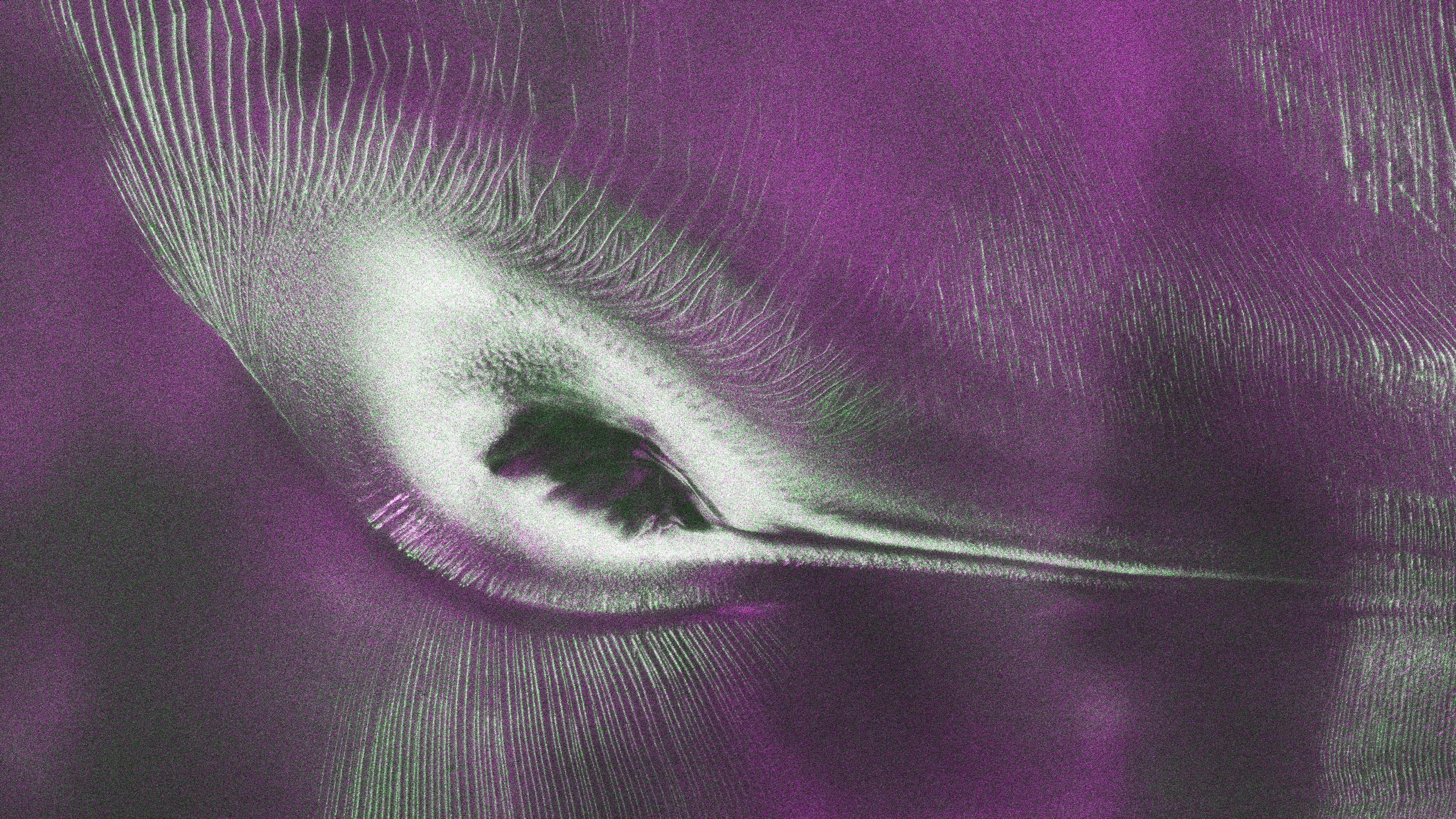 Satellite image depicting form of a bird in Antarctic ice surface. 
