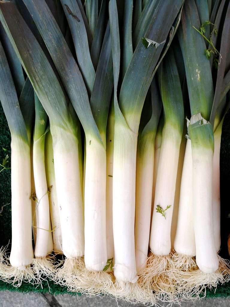 How To Grow Leeks: From Seed Or Existing Plants 