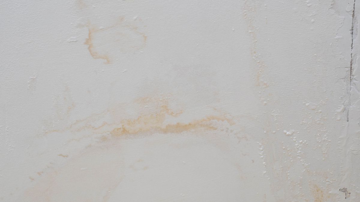 How to remove water stains from wood and walls | Tom's Guide