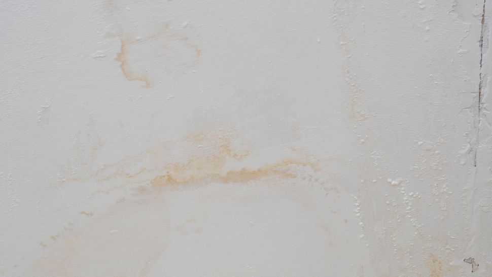 How to remove water stains from wood and walls Tom's Guide
