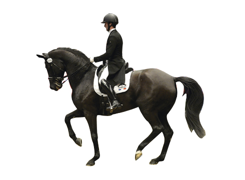 dressage-olympia1.jpg