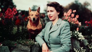 The Queen and her Corgis