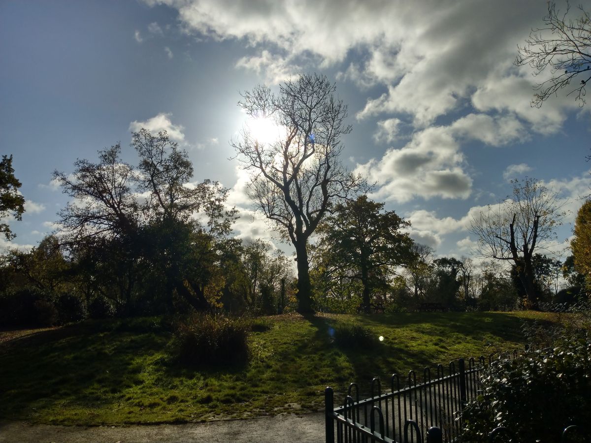 The phone handles shooting directly into the sun well, and as it uses a multi-exposure method you can pull out more shadow detail in a post edit too