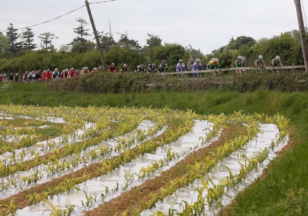 The Peloton on the road to Kildare
