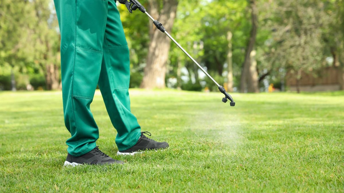 Most Gardeners Have Never Heard of This Lawn Product That Helps Grass Survive Extreme Heat