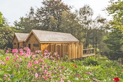 Holiday lodges at The Tawny Hotel surrounded by wildflowers