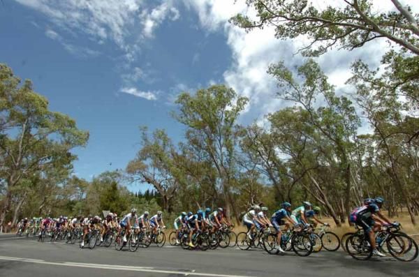 Stage 4 of the Tour Down Under with Saxo Bank on the front
