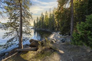 A dirt path winds along Tubbs Hill in Coeur d'Alene, Idaho, alongside Lake Coeur d'Alene on a sunny afternoon