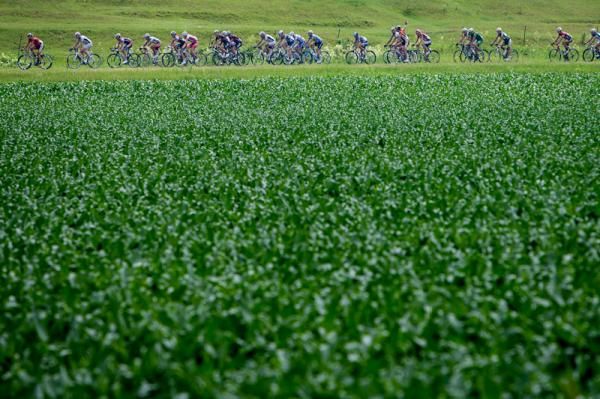 Rolling through the deep green Wisconsin fields.