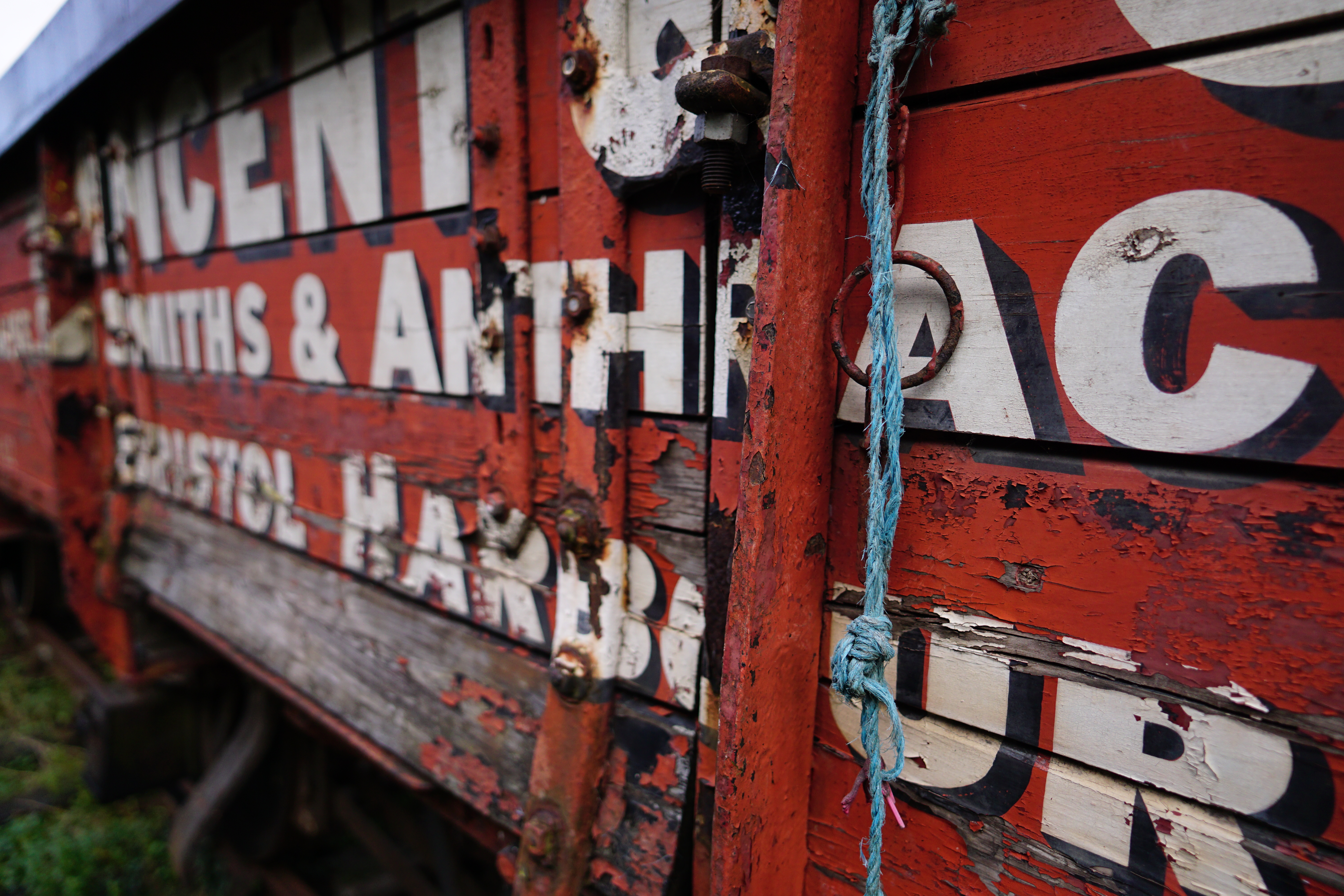 Sigma 15mm f/1.4 DC | C sample image