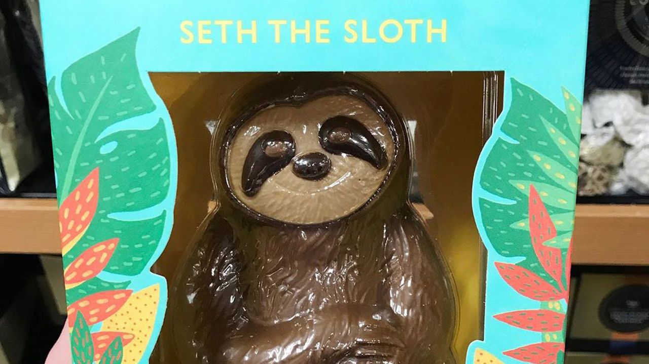 M&amp;S chocolate Easter sloth