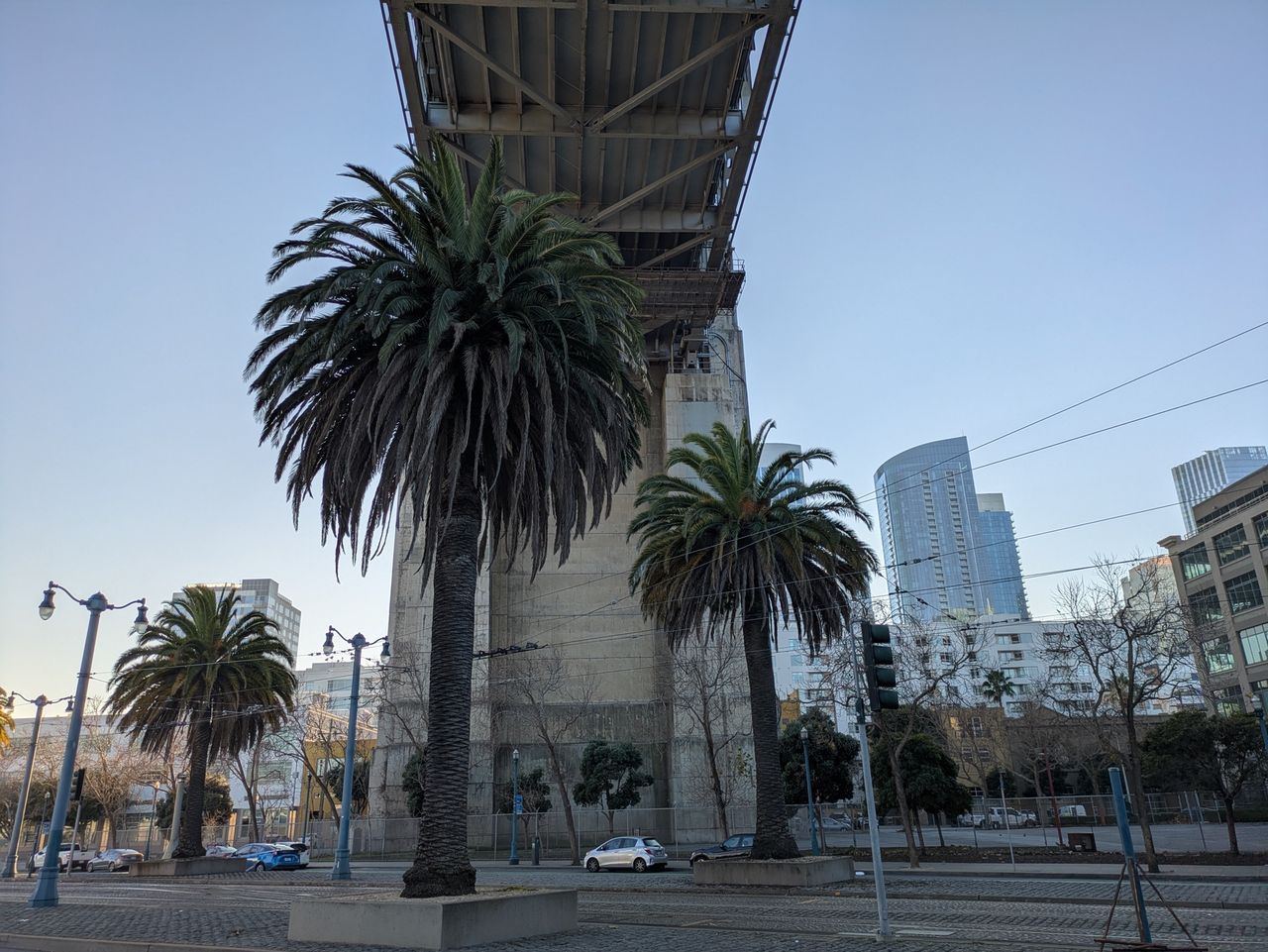 Palm Trees under Bay Bridge shot with Pixel 8a
