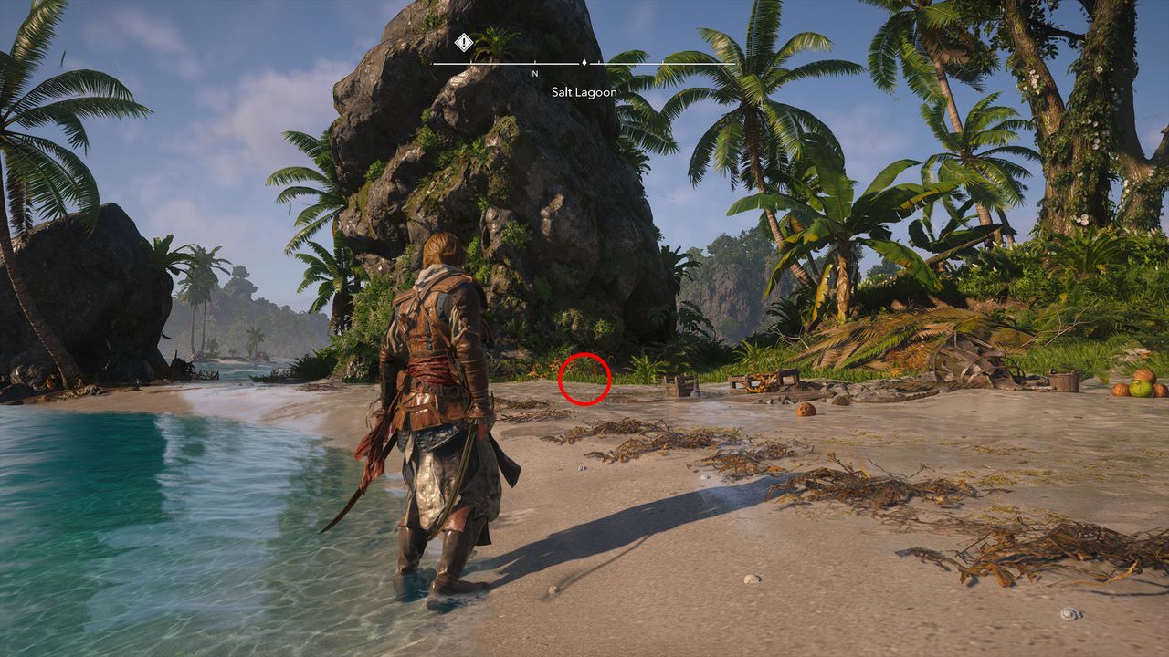 Black Flag treasure maps: Edward standing on a beach with a ship wreck to his left.