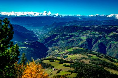 Northern Italian Wines