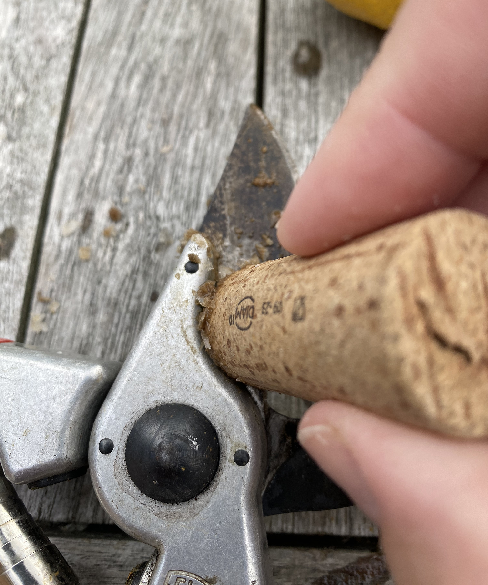 Cleaning hand pruner blade with wine cork