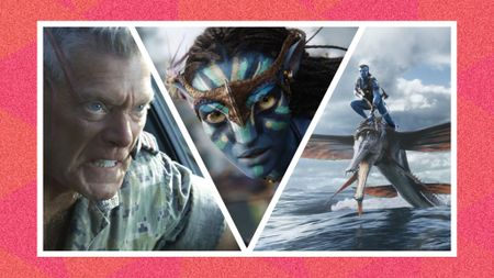 A selection of images from the Avatar movie series