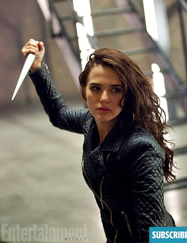 Rose stake