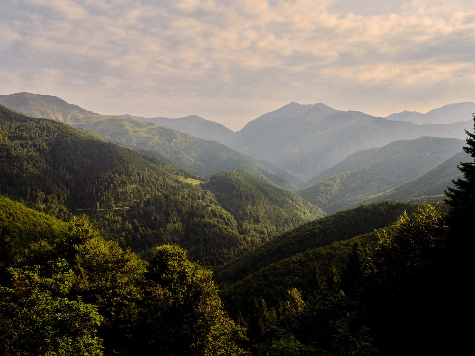 green landscape