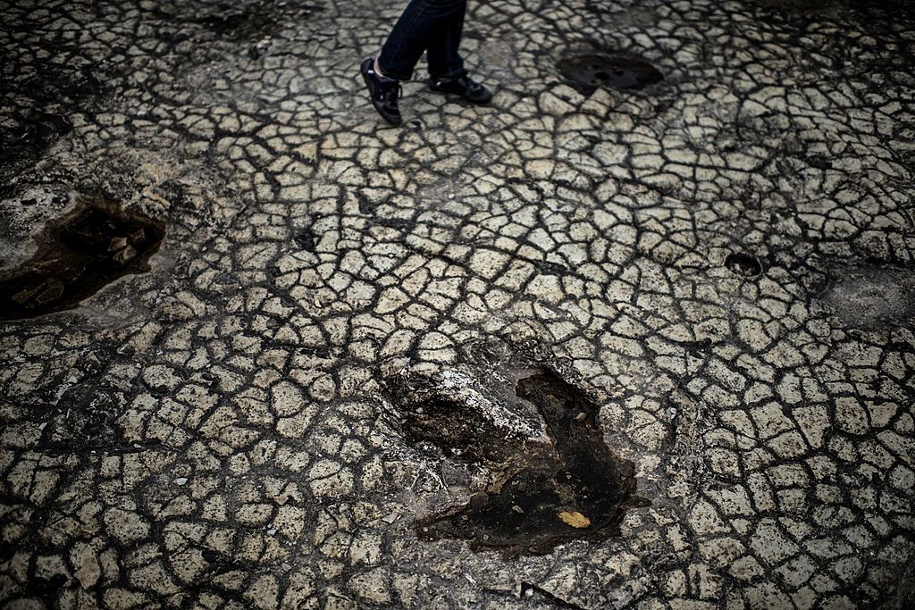 Paleontologists found a huge dinosaur print.