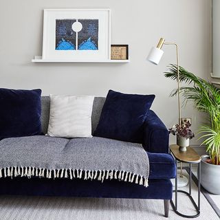 A navy blue velvet sofa with a grey wool throw in front of a grey wall with a white picture frame