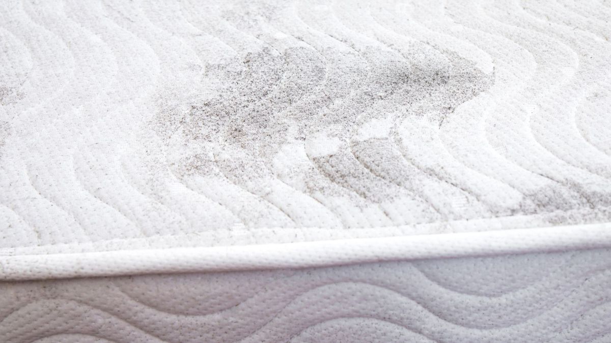 A close up image of a mattress displaying a smattering of black dots, which is a sign that mold is present