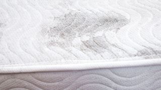 A close up image of a mattress displaying a smattering of black dots, which is a sign that mold is present
