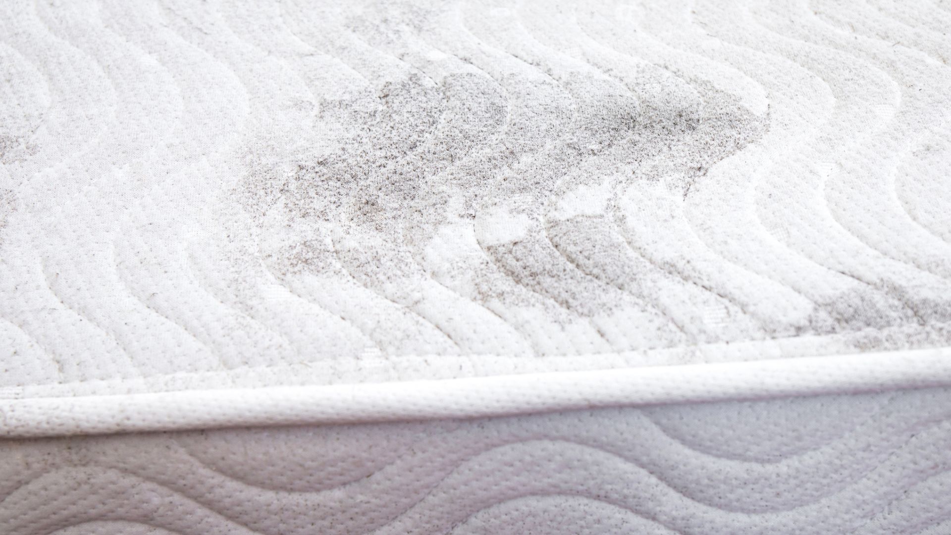 How to prevent mattress mold in winter — 5 ways to…