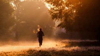 An athlete enjoys the serenity of an early morning workout in Richmond Park, London