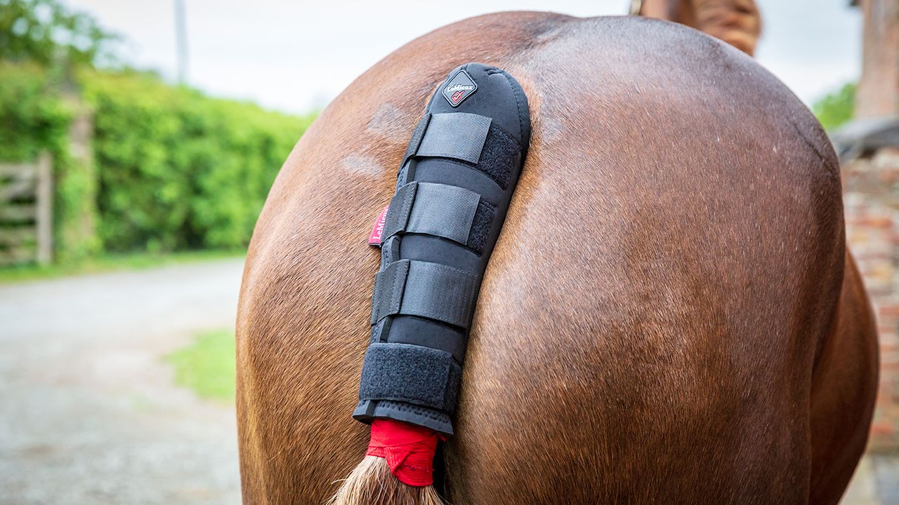 LeMieux tail guard with bag review