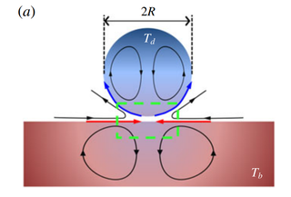 A figure from the paper shows how water turns in circles in the droplet and under the pool's surface, pulling in a cushion of air.