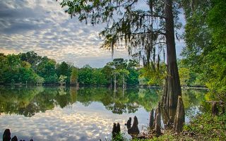 A lake in Jackson, Miss.