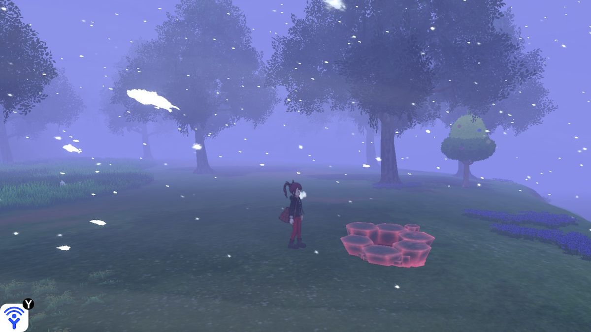 Dappled Grove dens Pokémon Sword and Shield Every Wild Area den and