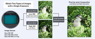 Diagram of the Panasonic Lumix G9 image sensor