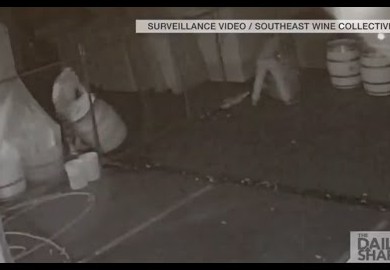 Wine barrel thieves, Oregon