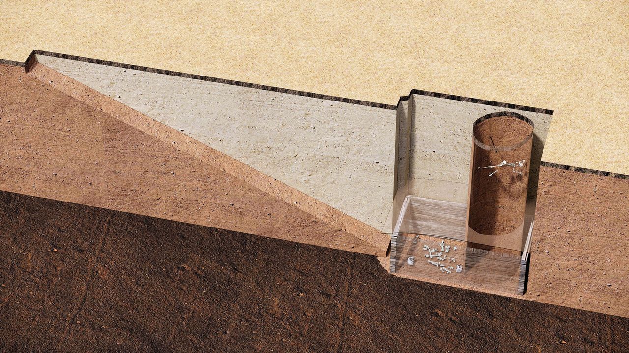 A 3D image of what the tomb and the looter shaft look like.