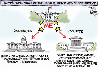Political cartoon U.S. Trump executive government branches Congress Courts