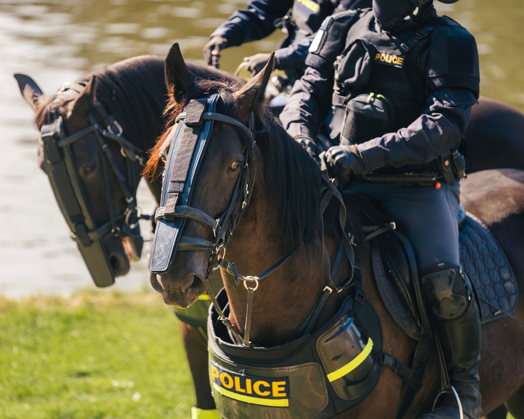 two horses with mounted police