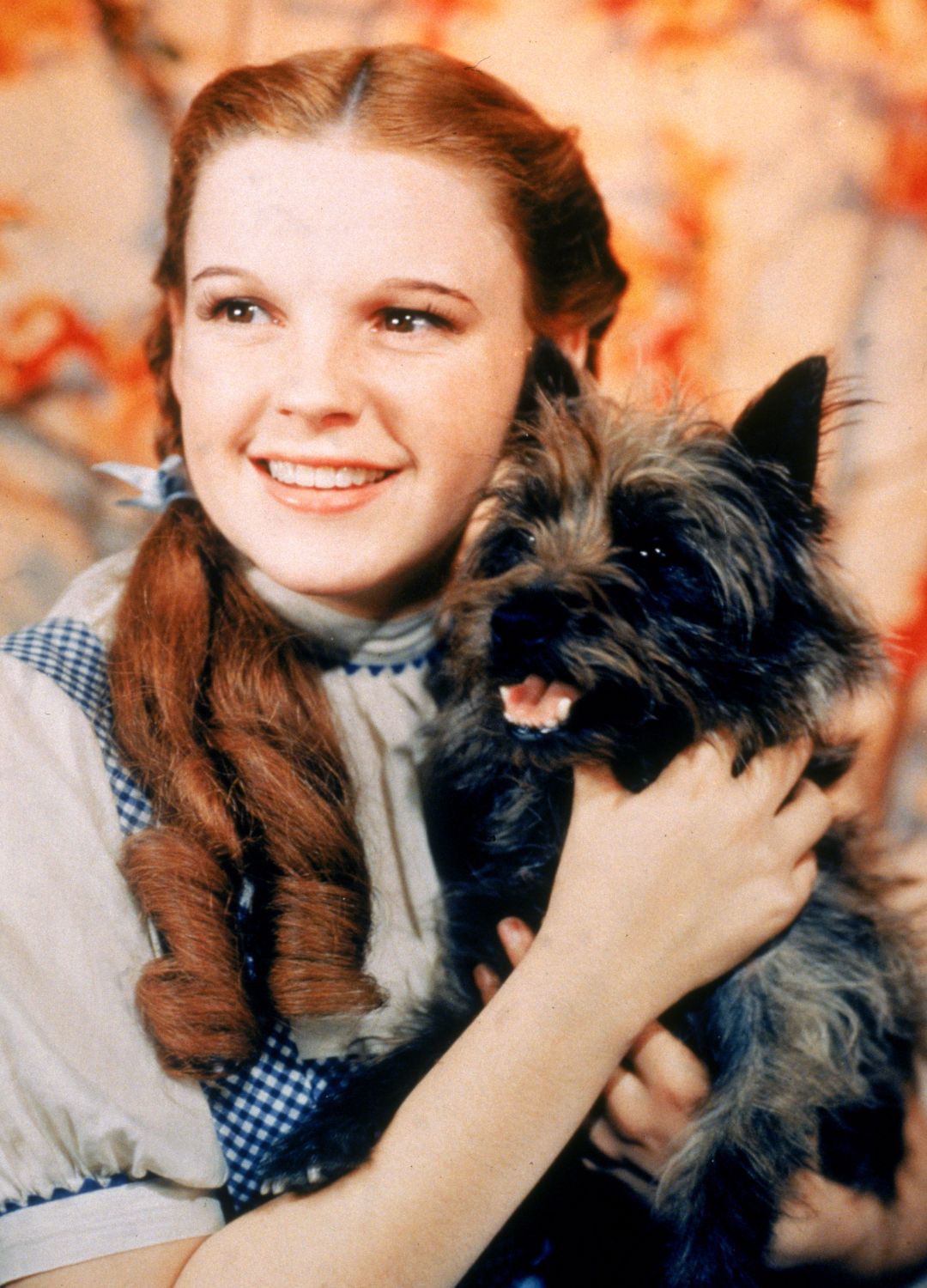 American actor Judy Garland (1922 - 1969), as Dorothy Gale, holding Toto the dog for the film, 'The Wizard Of Oz,' directed by Victor Fleming